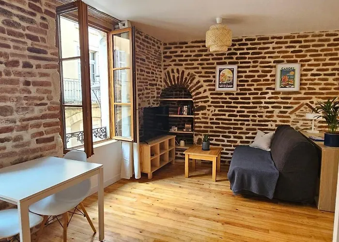 Daire La Brique Cadurcienne *